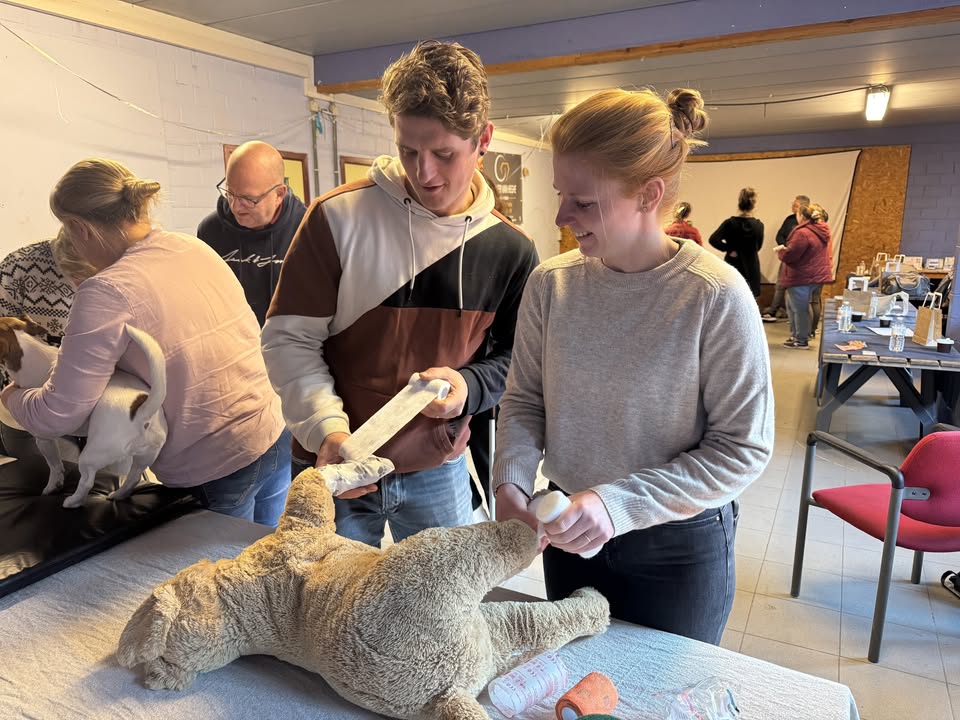 Workshop EHBO bij de hond