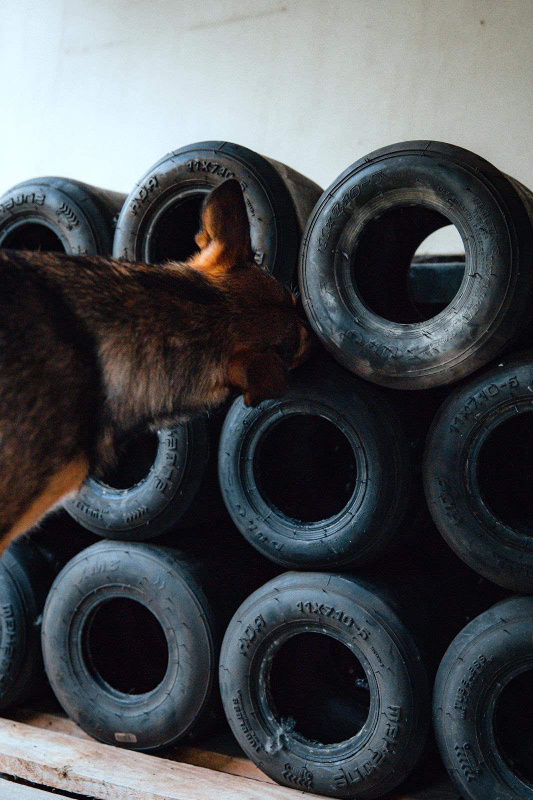 Detectie - 10 beurtenkaart (vervolg na basiscursus)