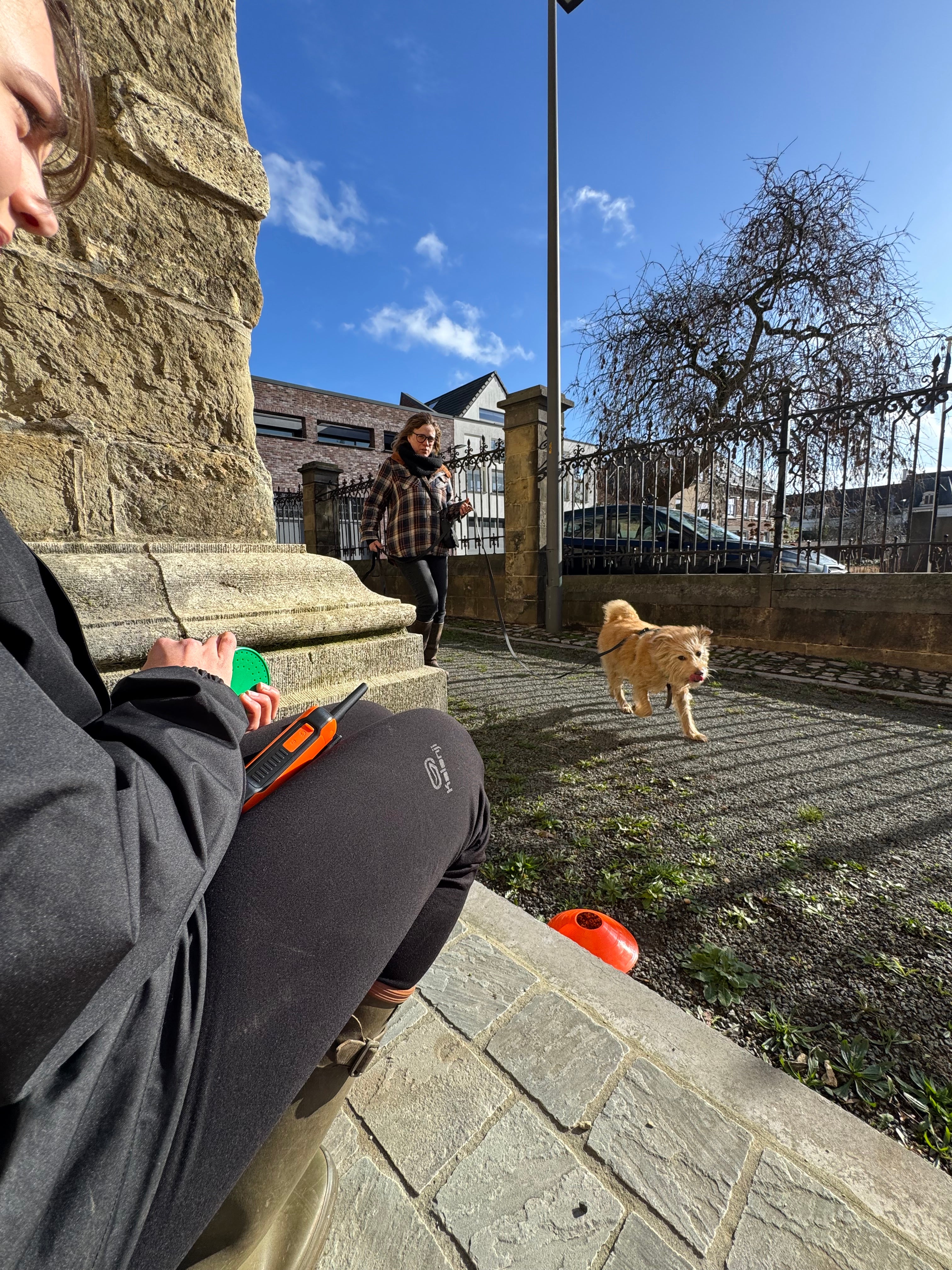 Speuren - 10 beurtenkaart (vervolg na basiscursus)