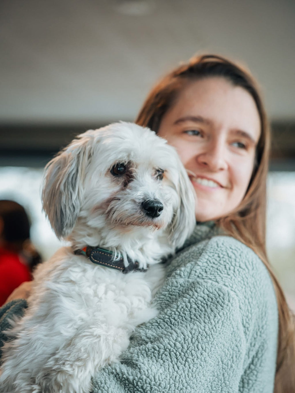 Workshop EHBO bij de hond