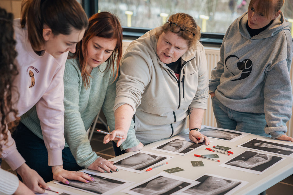 Workshop EHBO bij de hond