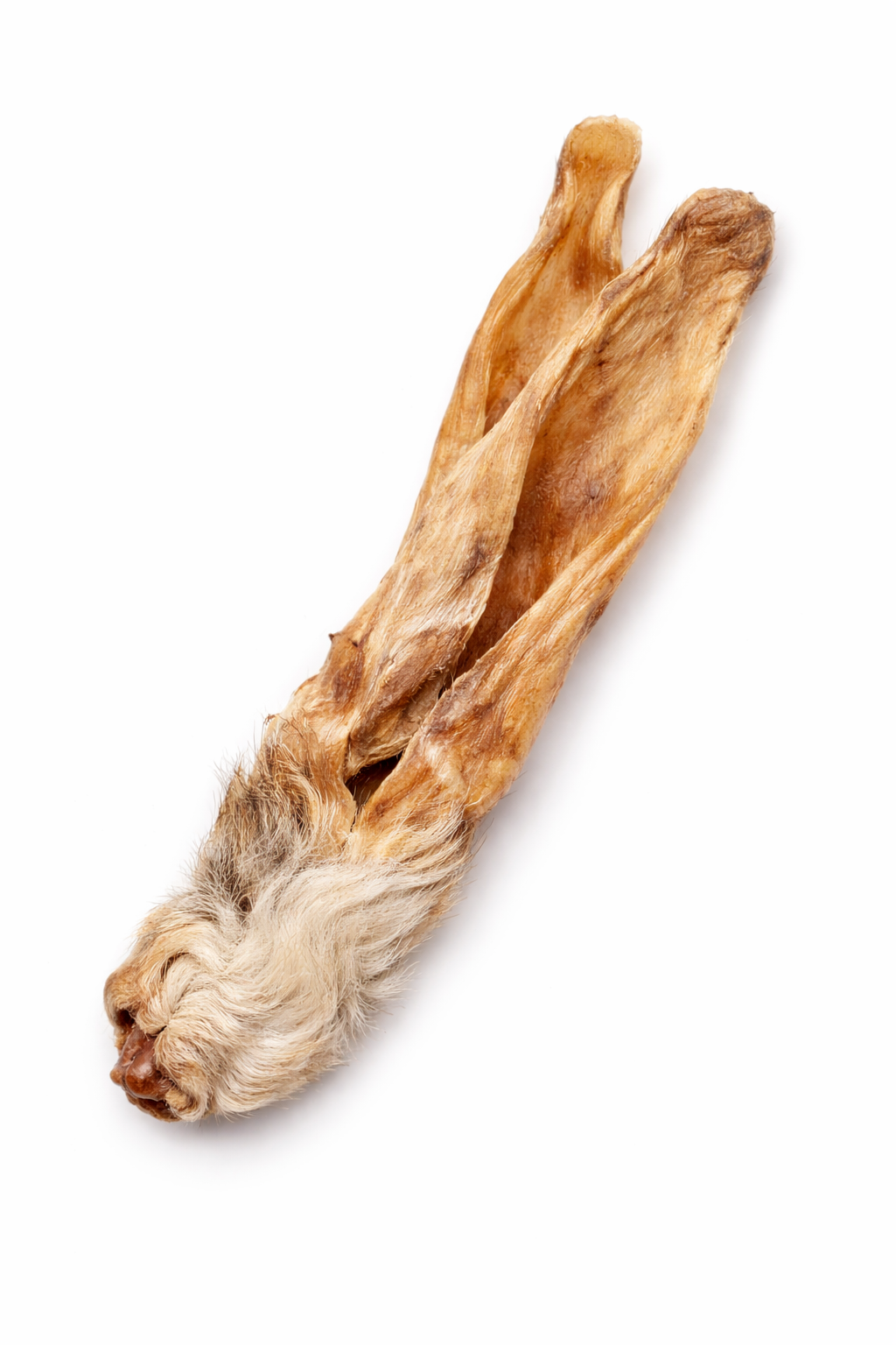 Konijnenoor met haar