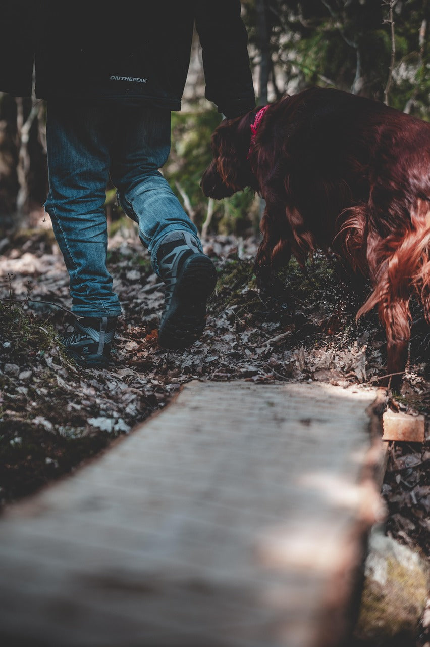 Basiscursus Speuren - 5 weken DUO